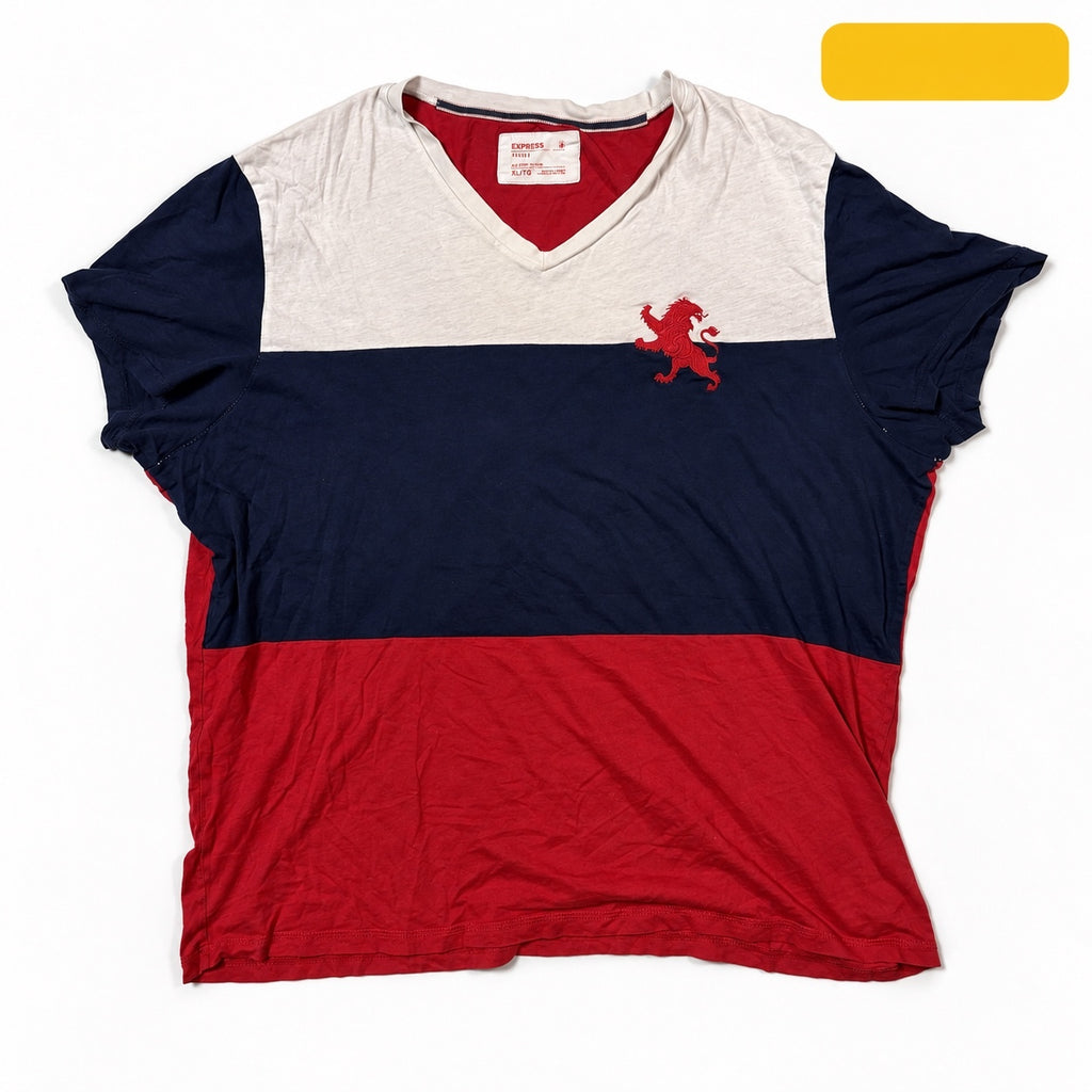 Express Colorblock Lion V-Neck T-Shirt Size XL
