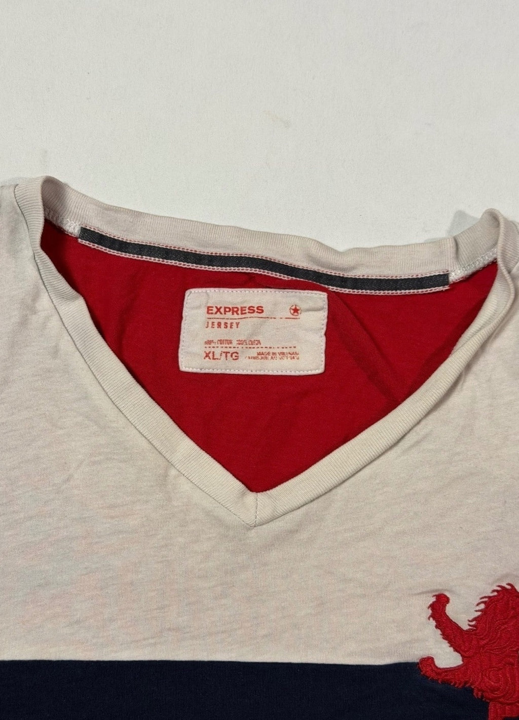 Express Colorblock Lion V-Neck T-Shirt Size XL