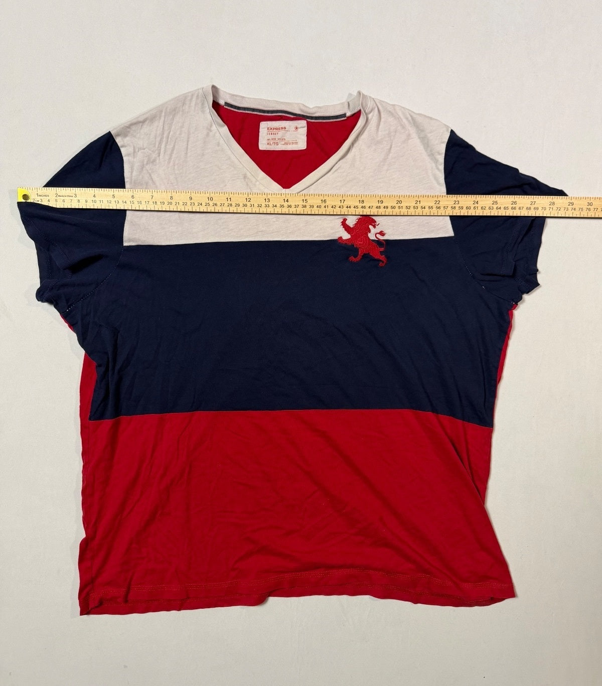 Express Colorblock Lion V-Neck T-Shirt Size XL